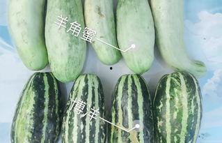网红吃瓜热门,揭秘娱乐圈最新热点事件